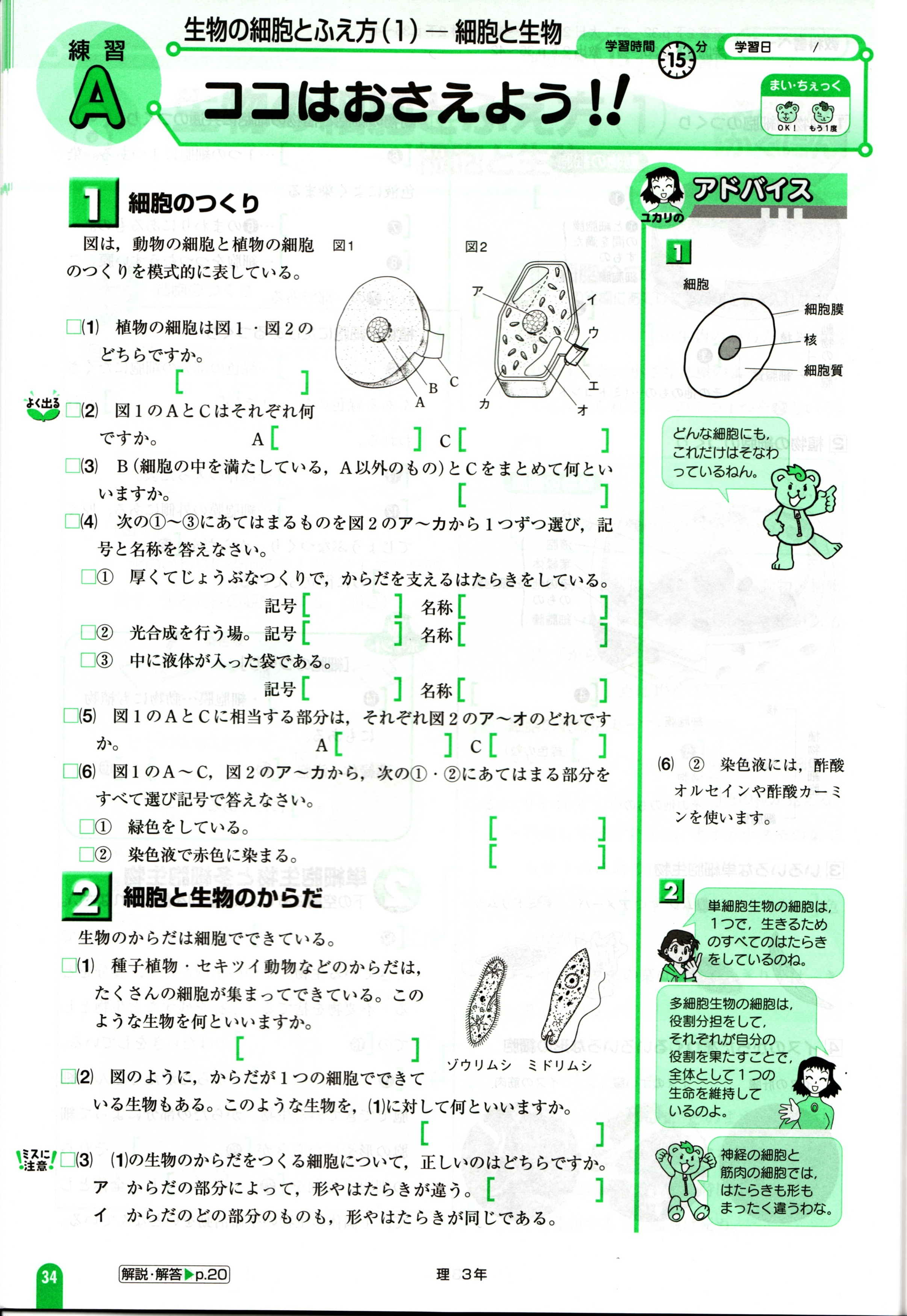 中３ポピー理科は基礎問題も発展問題も学習でき 学力が身につきます