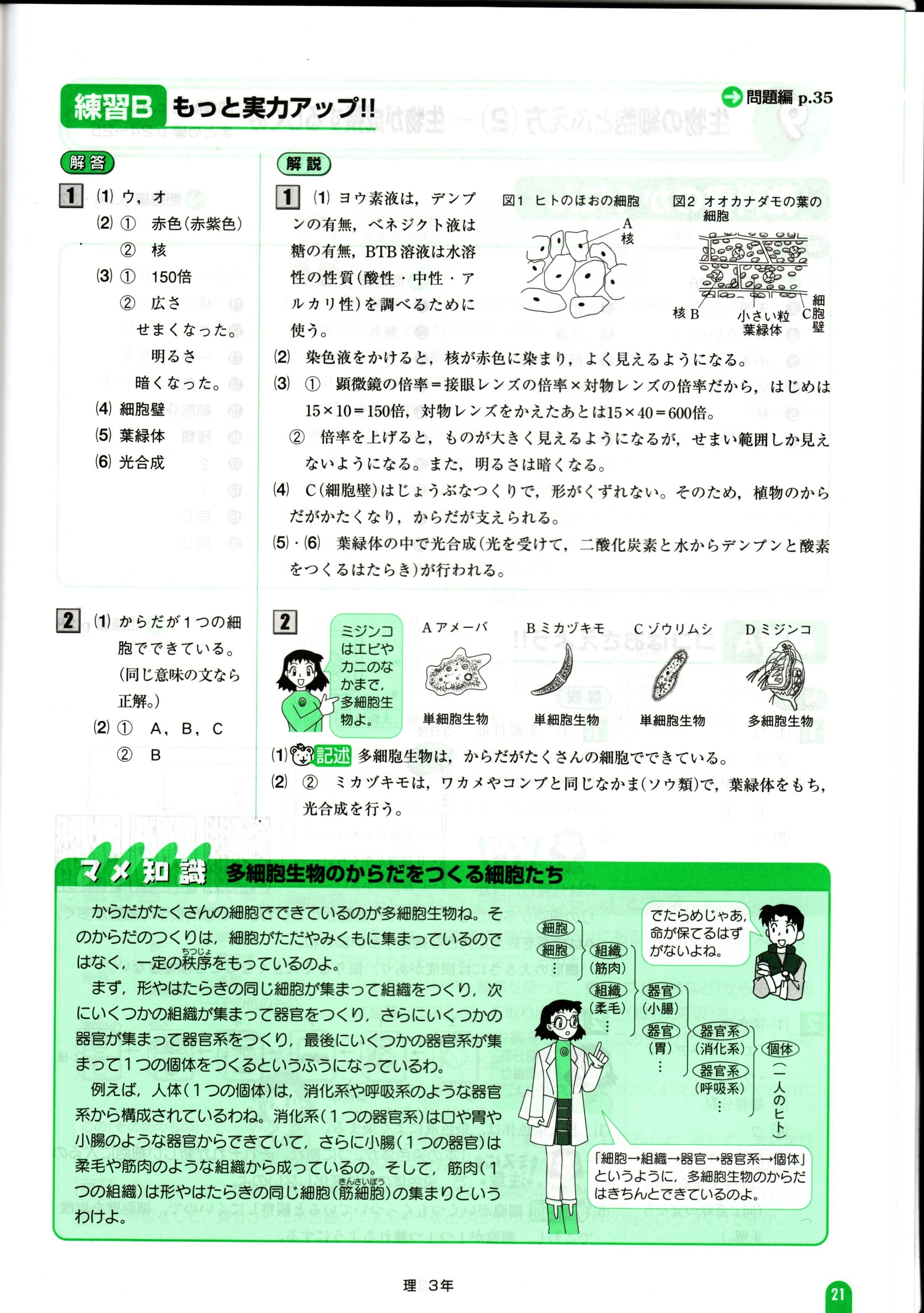 中２ポピー理科は部活や塾で忙しい人も 短時間で効率よく勉強できる