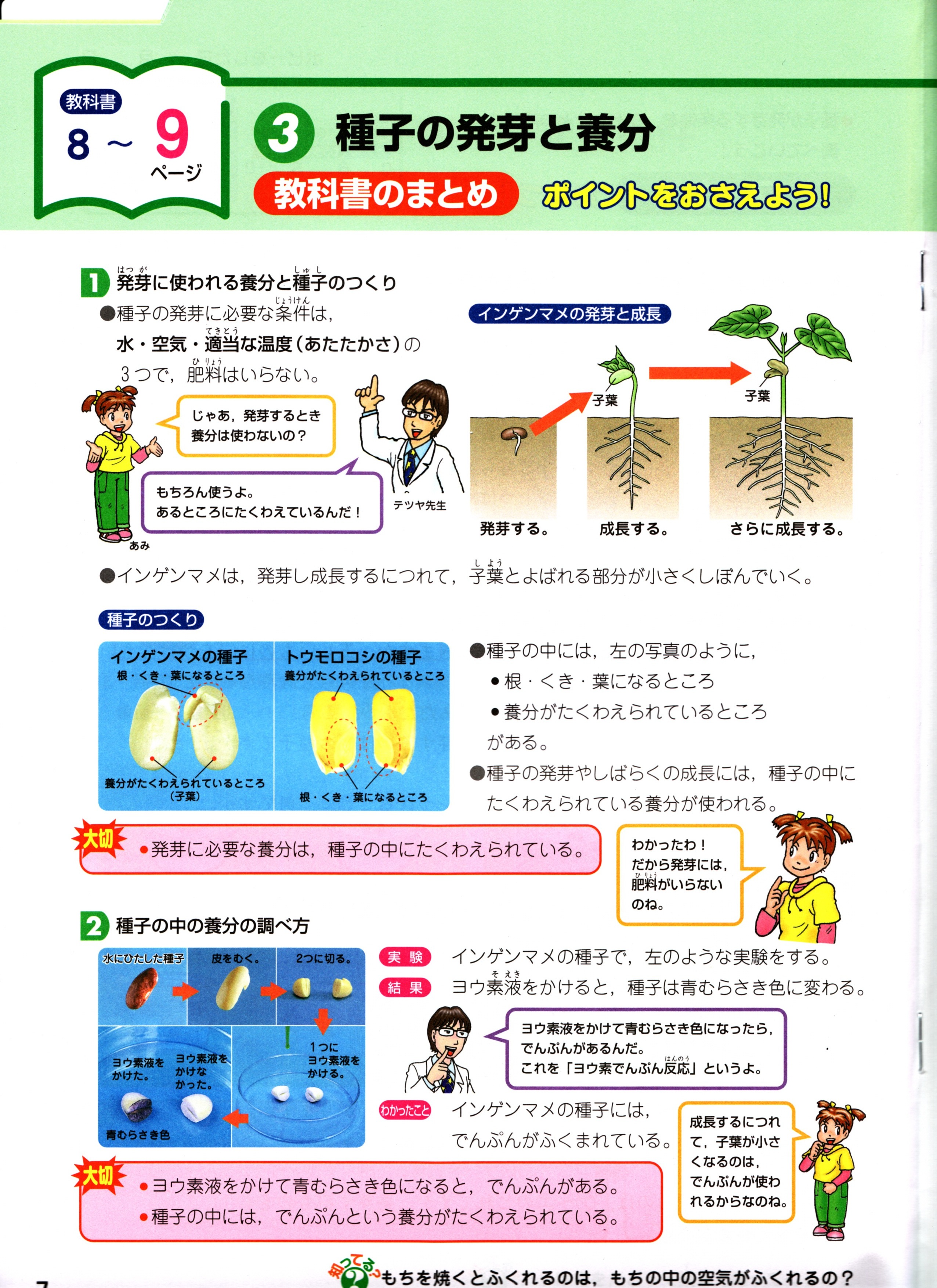 最も検索された 5年生の理科の教科書 デザイン文具